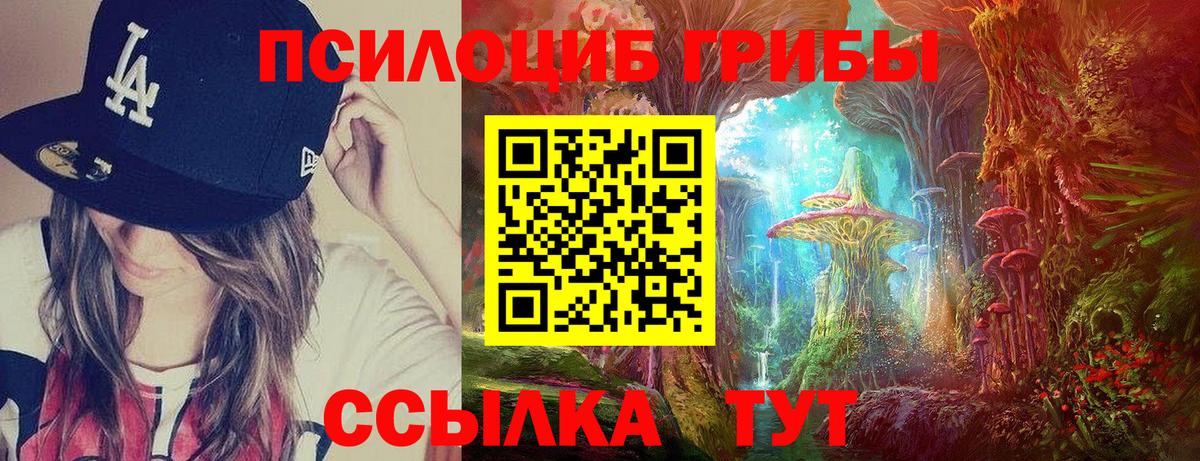 Псилоцибиновые грибы Psilocybe  Вход с VPN  Спасск-Дальний 